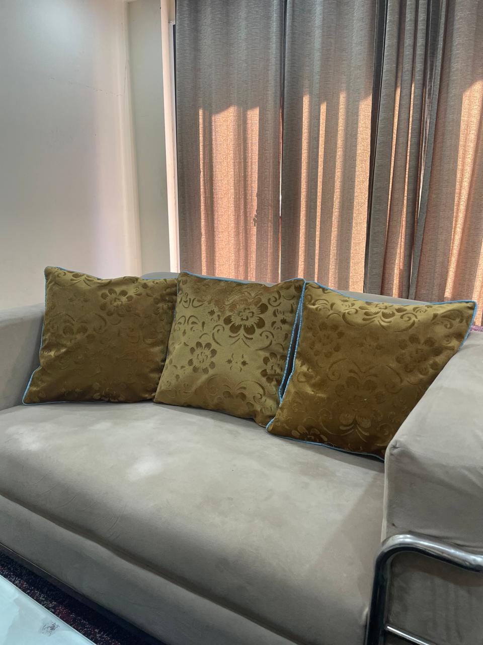 Printed Cushion Set Soft and Smooth Twill Velvet for Home Decor Sofa, Bed and Chairs